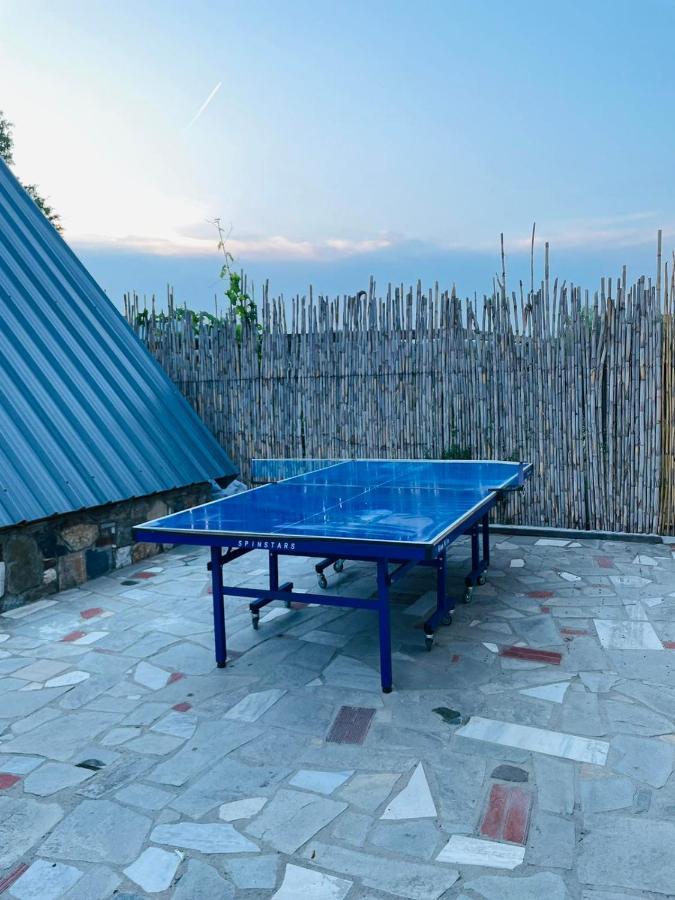Unique Wooden Villa With Pool Olympiada Extérieur photo